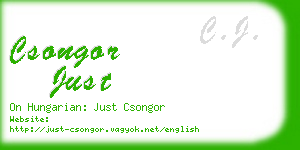 csongor just business card